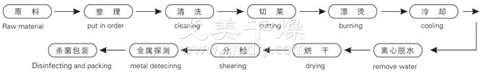 脱水蔬菜带式干燥工艺流程